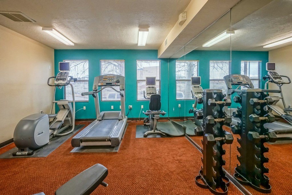 A gym with treadmills, exercise bikes, and other equipment.